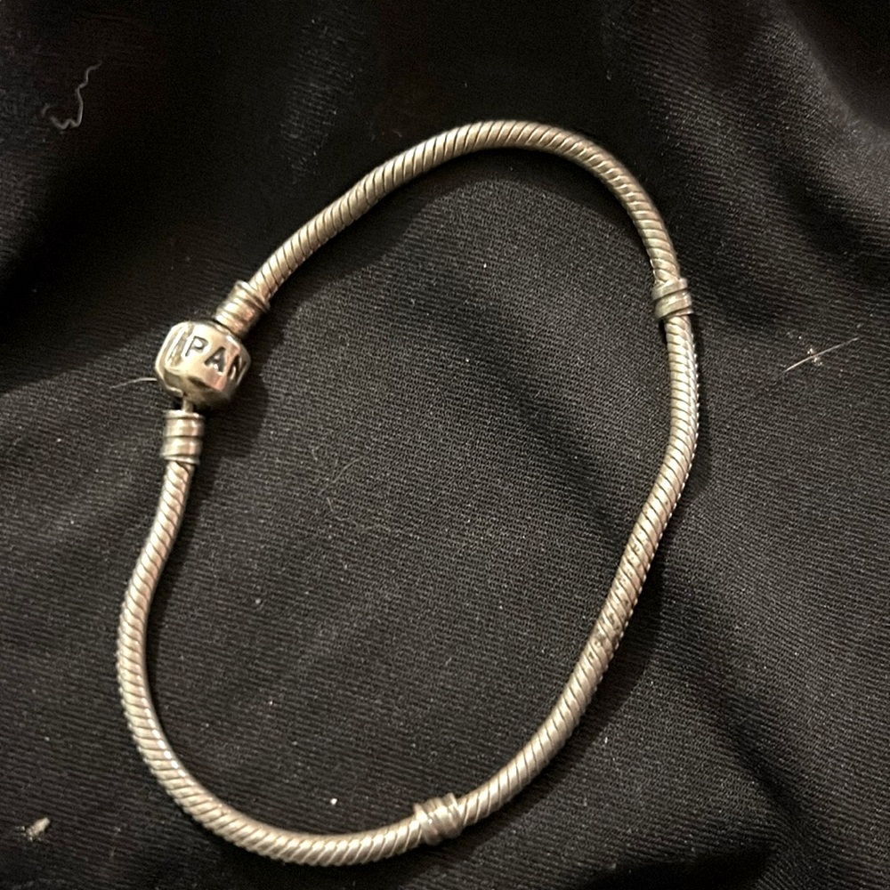 Pandora charm bracelet